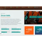 Projects zircon